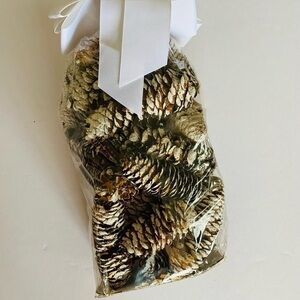 Archipelago Botanicals winter frost scented pine cone potpourri